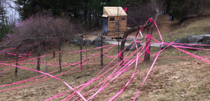 Aerial Balloon Tree Mapping