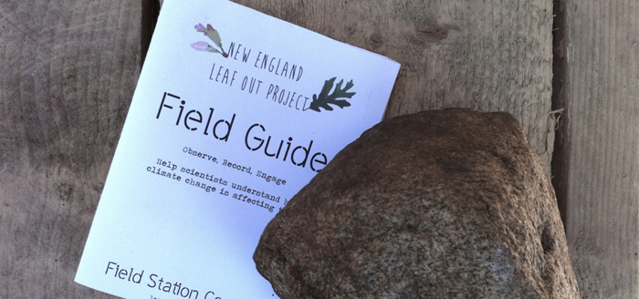 Field Guide 1