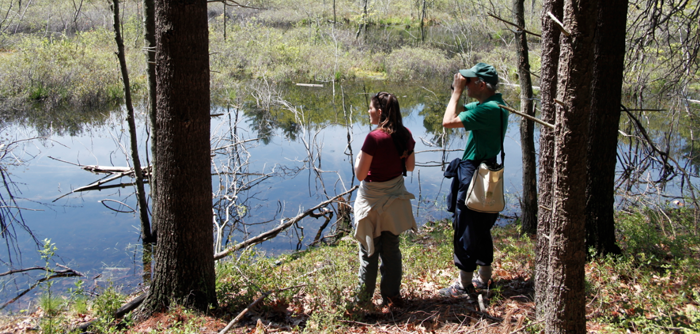 Field Talks: Richard Primack