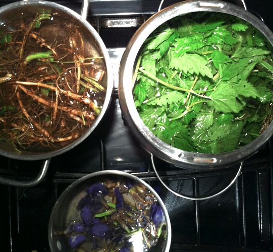 Stinging Nettles and info on mordants
