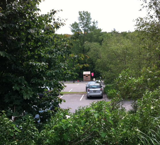 view of the parking lot site