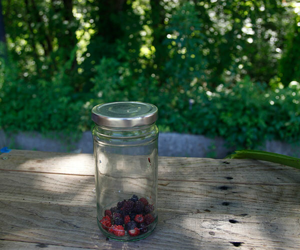raspberry ink