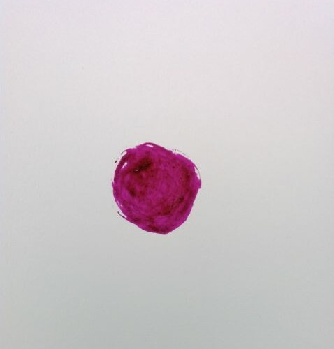 Pokeberry